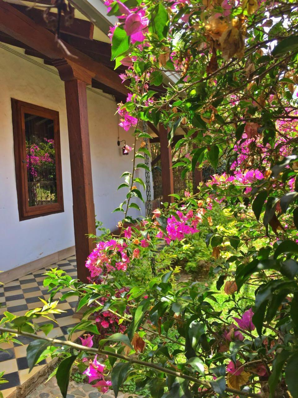 Casa Santamaria Hotel Campestre Jericoc  Exterior foto